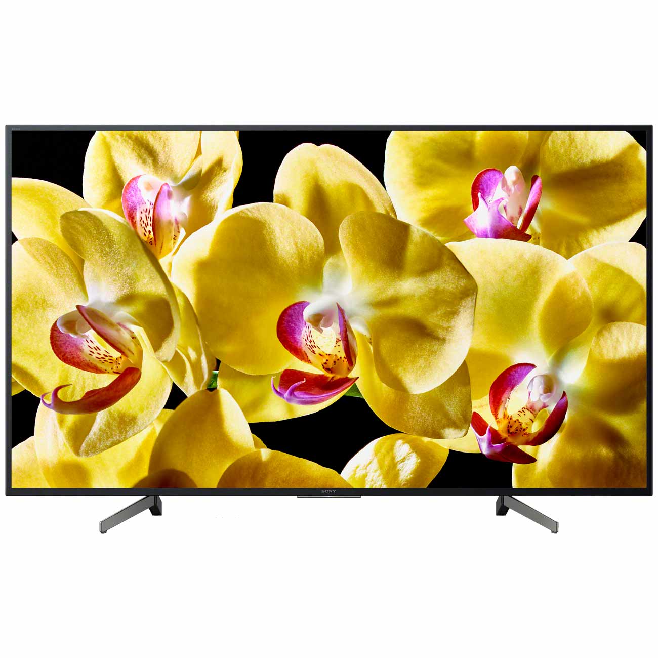 Телевизор Sony KD-55XG8096 фото