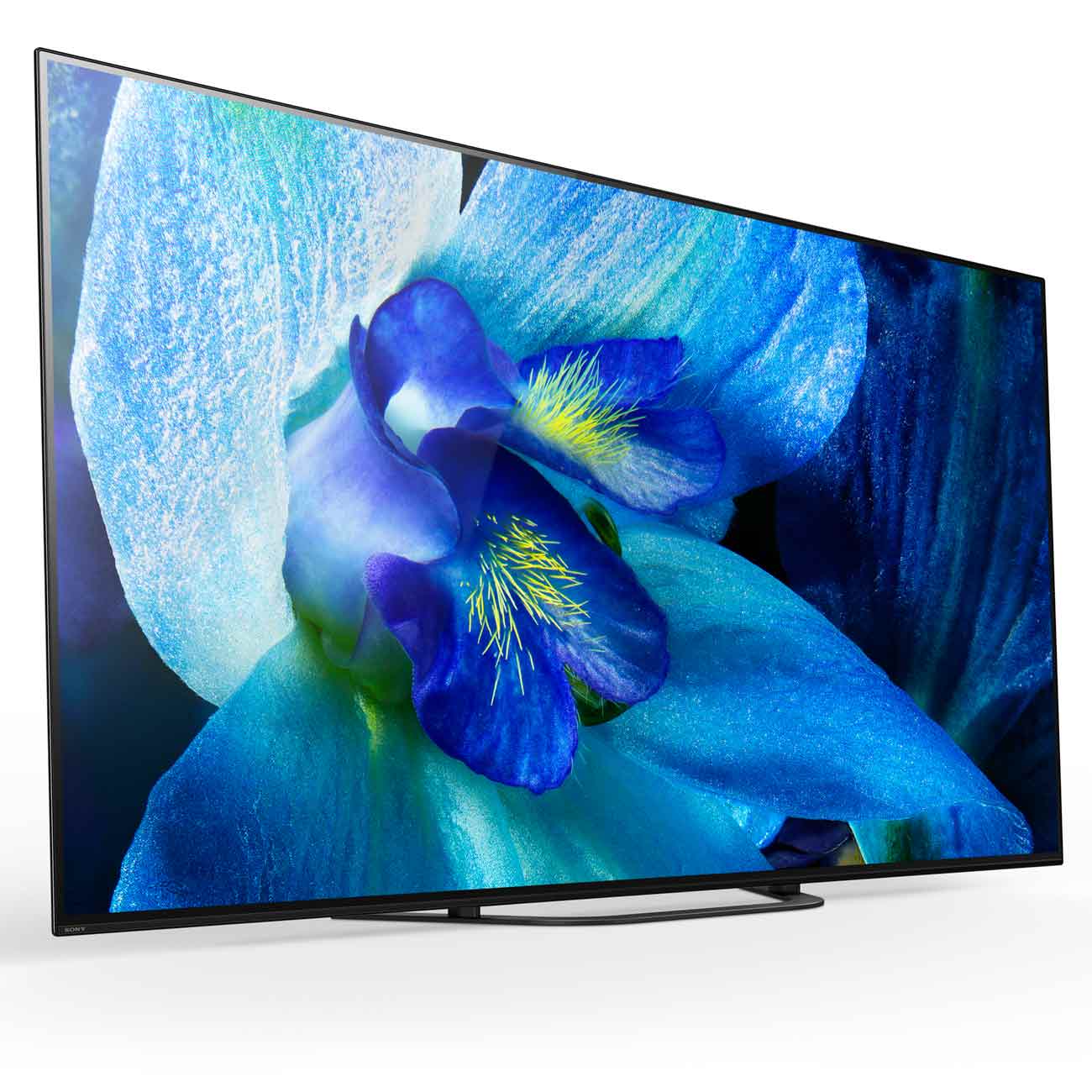 Телевизор Sony KD-65AG8