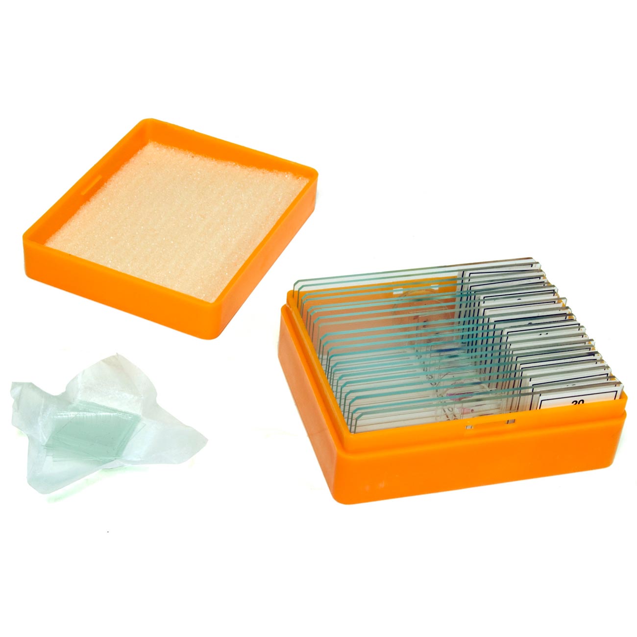 Набор готовых микропрепаратов Levenhuk N20 NG