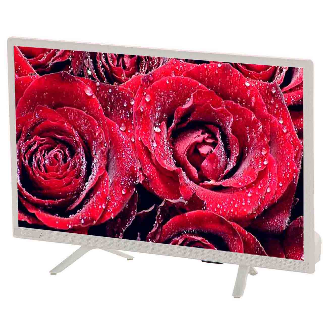 Телевизор Orion OLT-22955