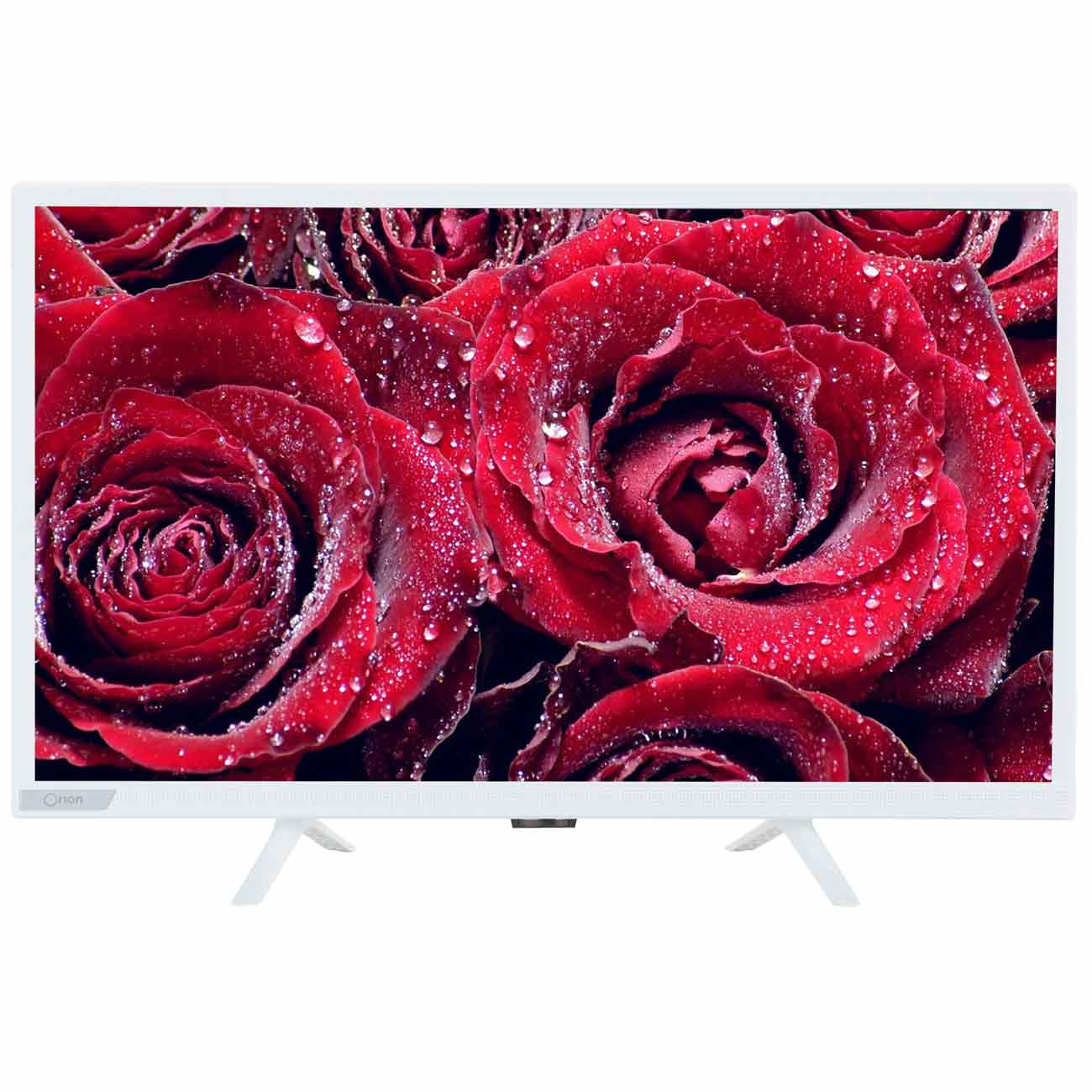 Телевизор Orion OLT-24955