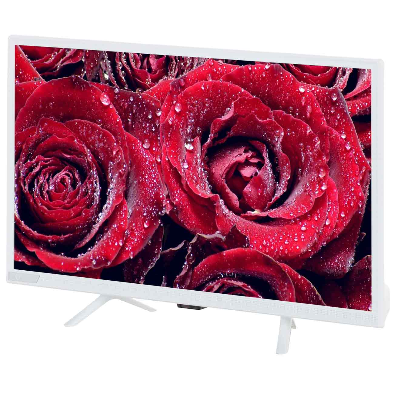 Телевизор Orion OLT-24955