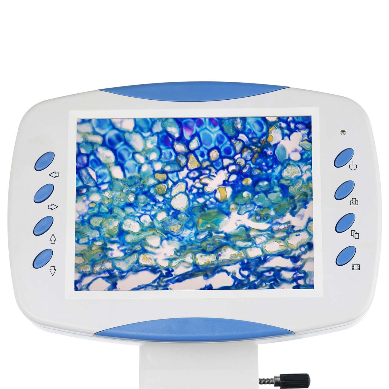 Микроскоп Levenhuk D80L LCD, монокулярный, цифровой (75433)