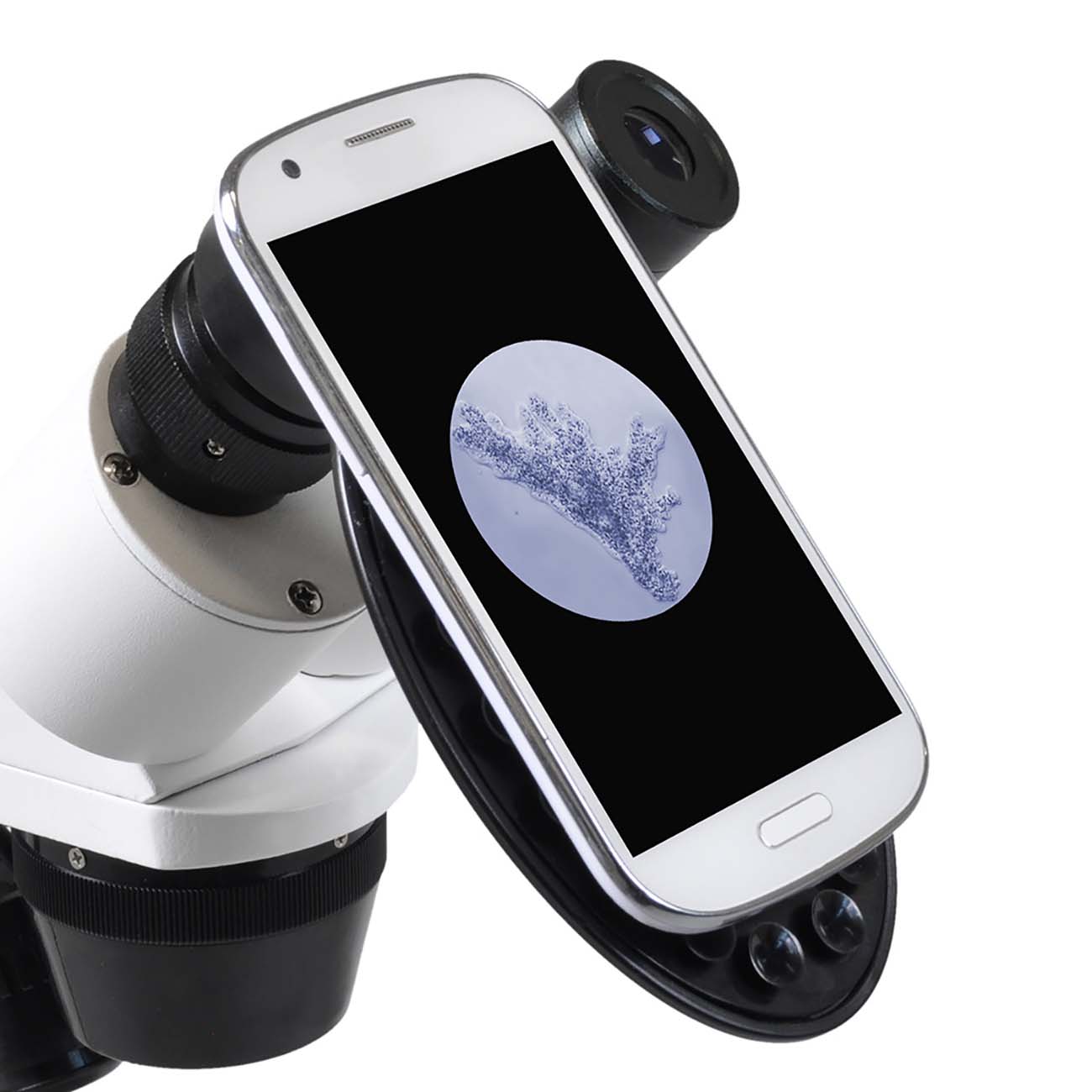 Микроскоп BRESSER Erudit ICD 20x/40x (74313)