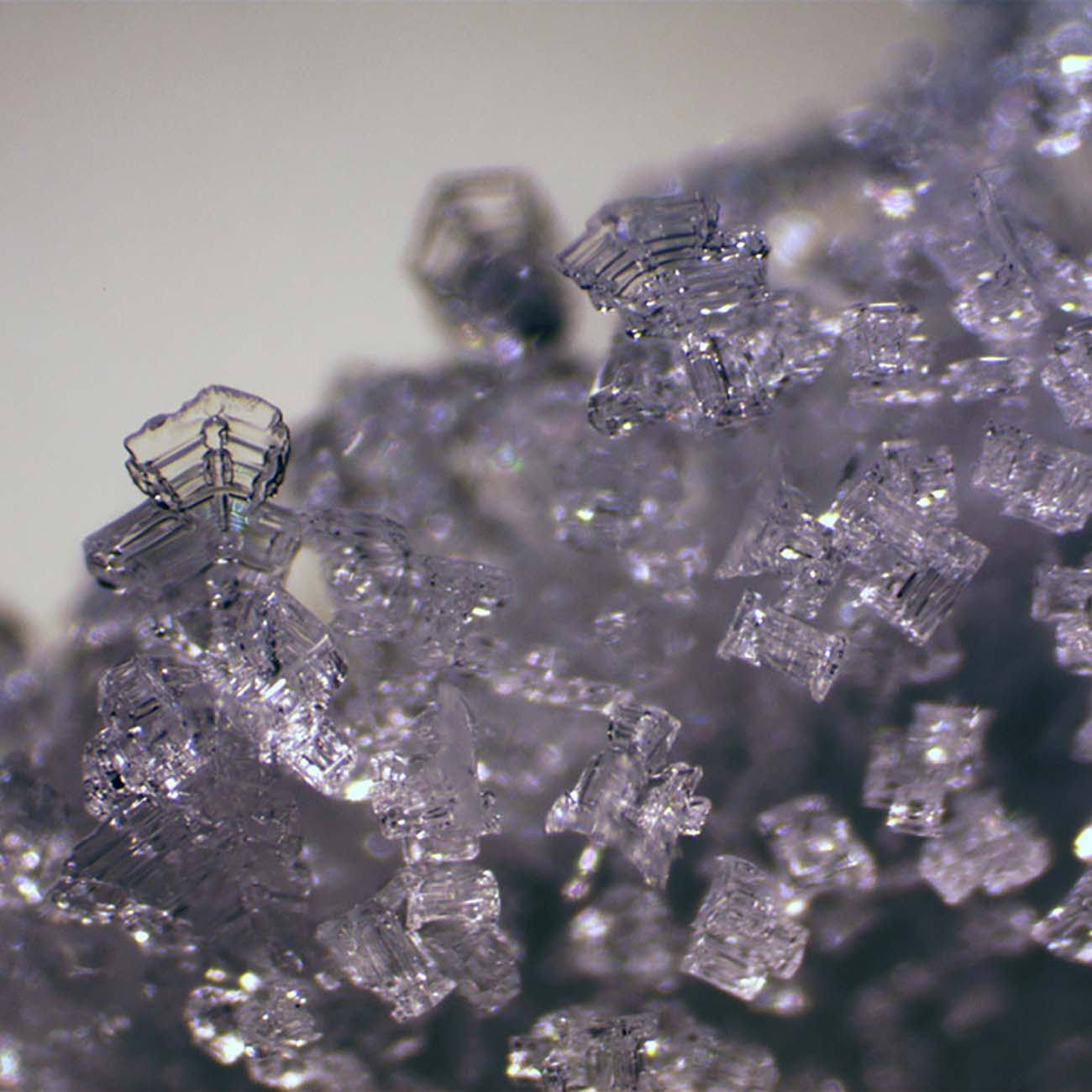 Микроскоп BRESSER Erudit ICD 20x/40x (74313)