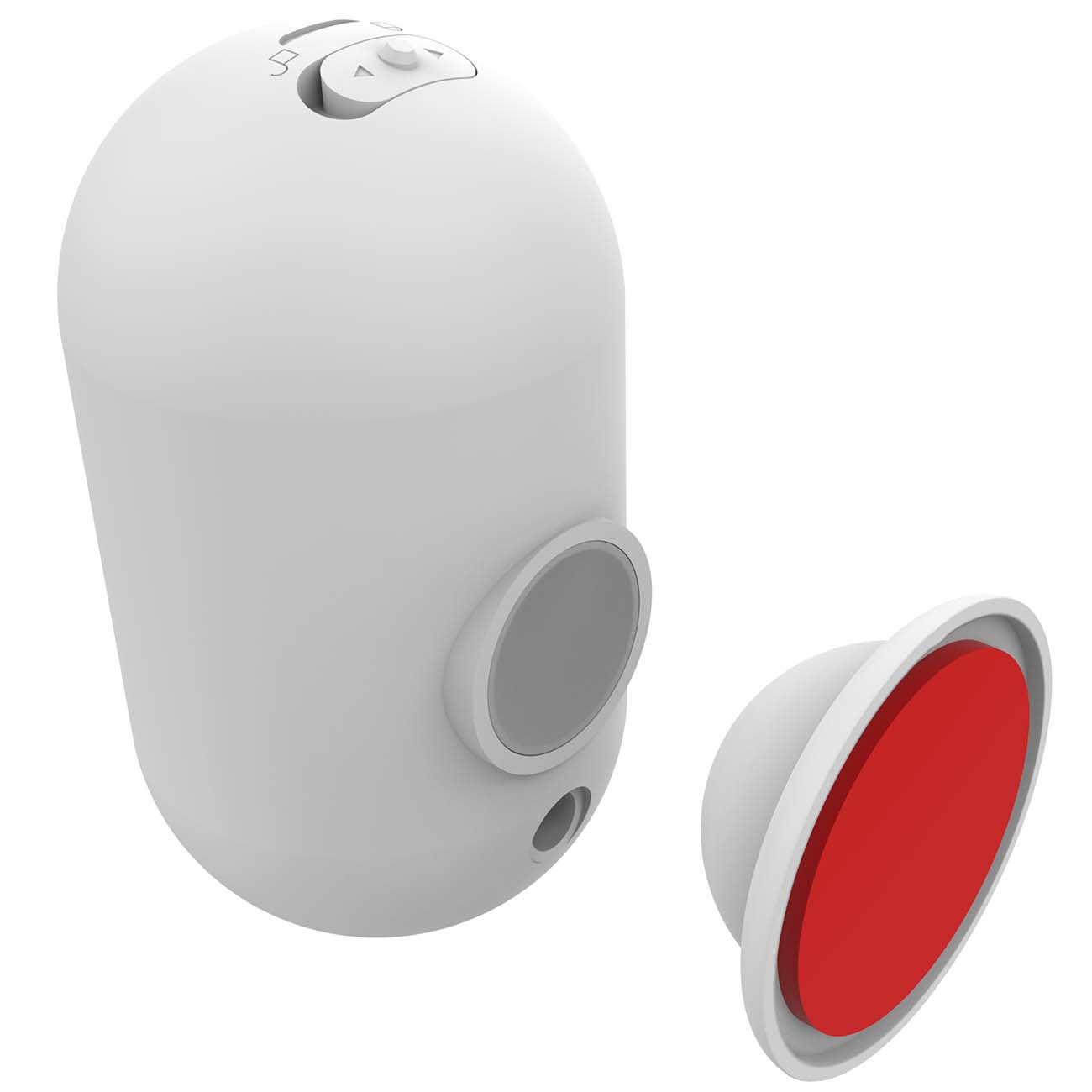 IP-камера Ritmix IPC-240B-Tuya