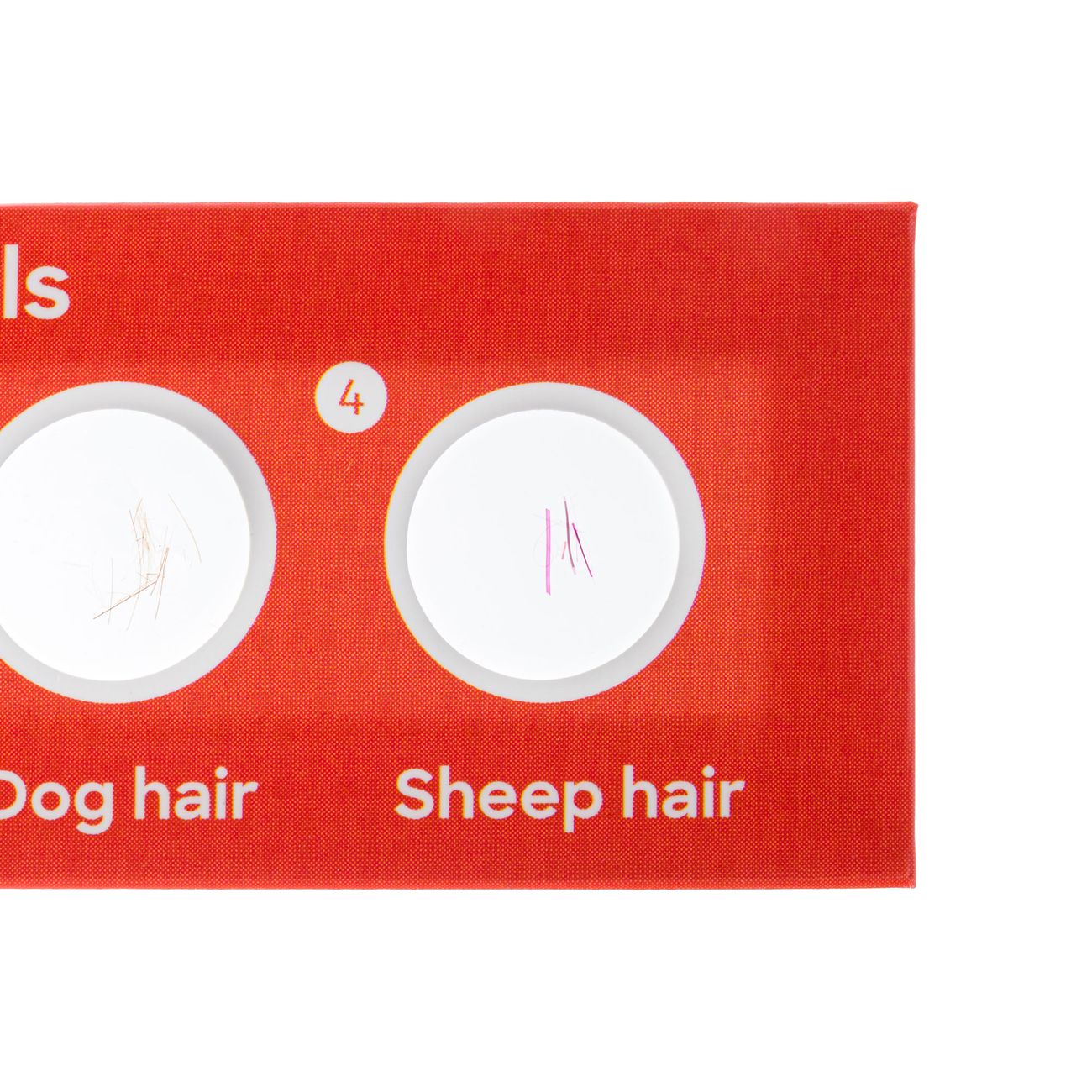 Набор микропрепаратов Levenhuk Фауна, 12 шт. 78224