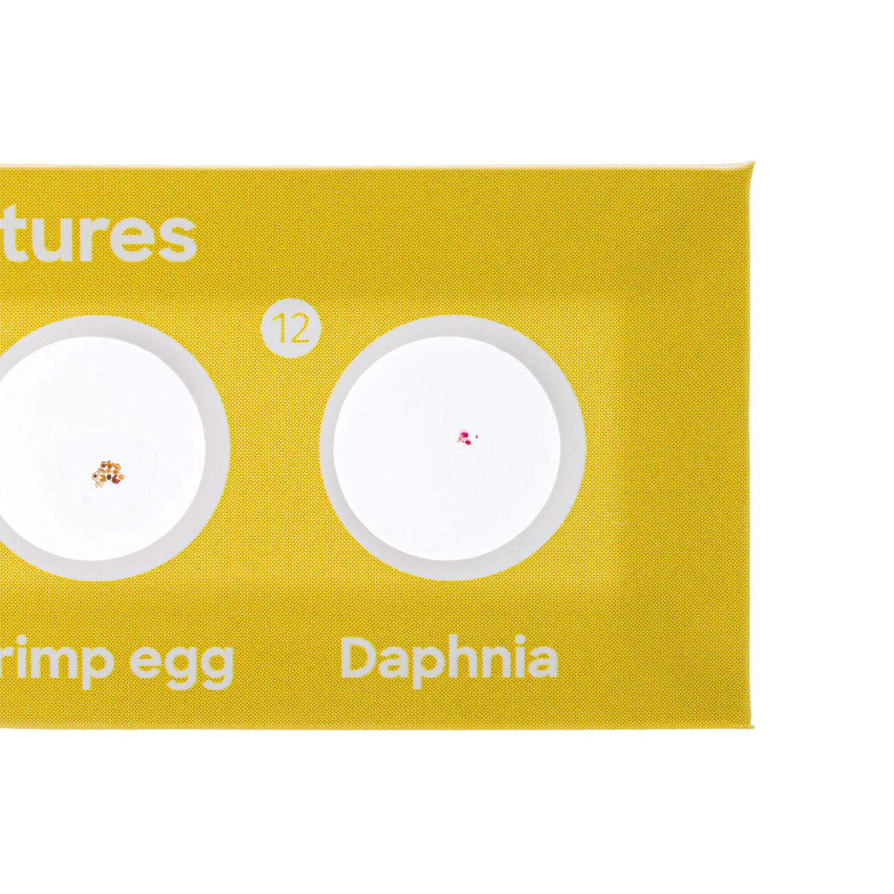 Набор микропрепаратов Levenhuk Фауна, 12 шт. 78224