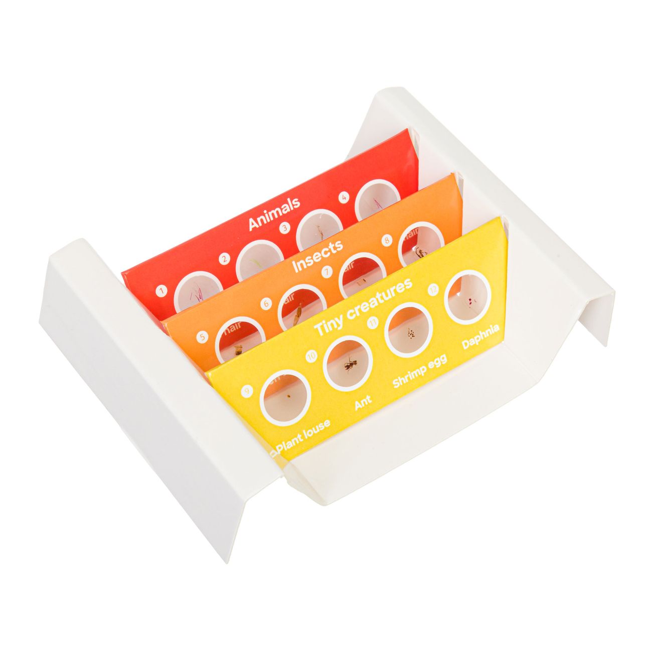 Набор микропрепаратов Levenhuk Фауна, 12 шт. 78224