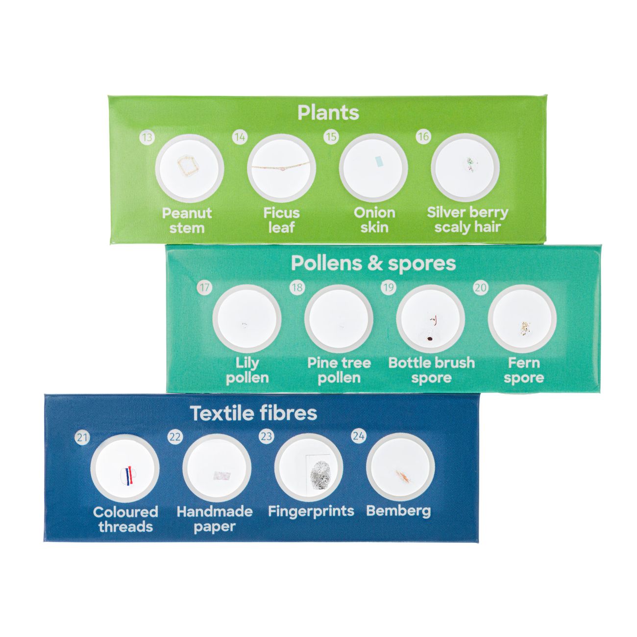 Набор микропрепаратов Levenhuk Флора, 12 шт. 78225