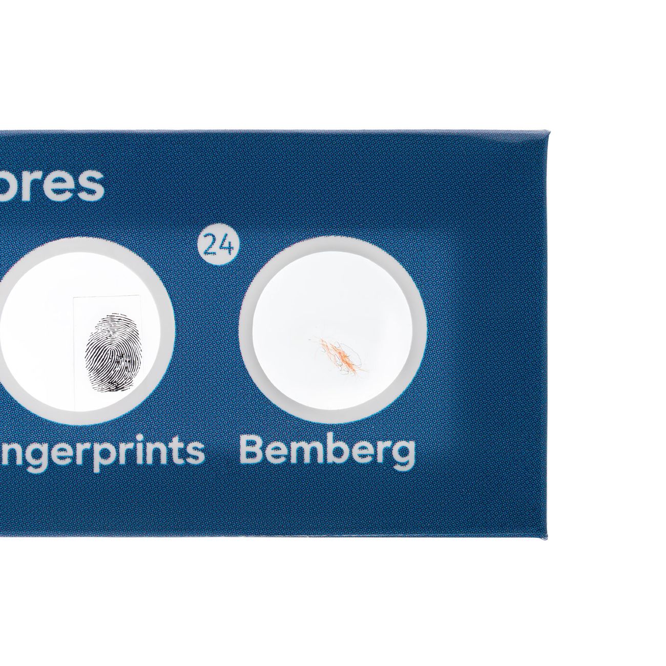 Набор микропрепаратов Levenhuk Флора, 12 шт. 78225