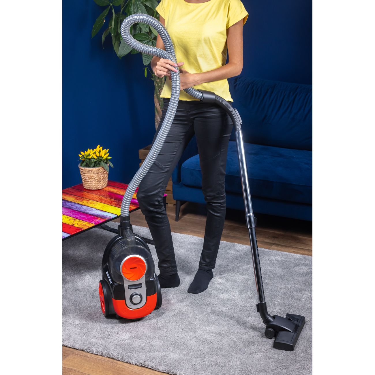 Пылесос с контейнером для пыли Zelmer KRZYS ZVC021P