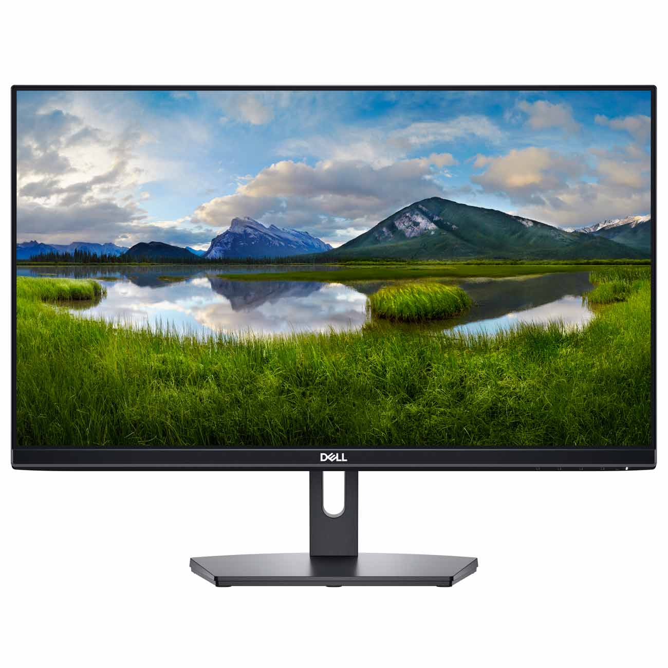 Монитор Dell SE2419H
