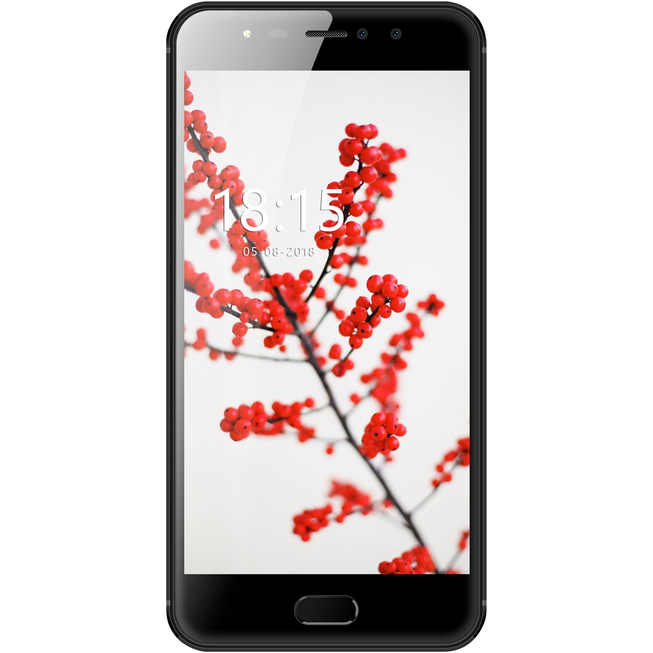 Смартфон BQ mobile Rich Max Black(BQ-5521L) фото
