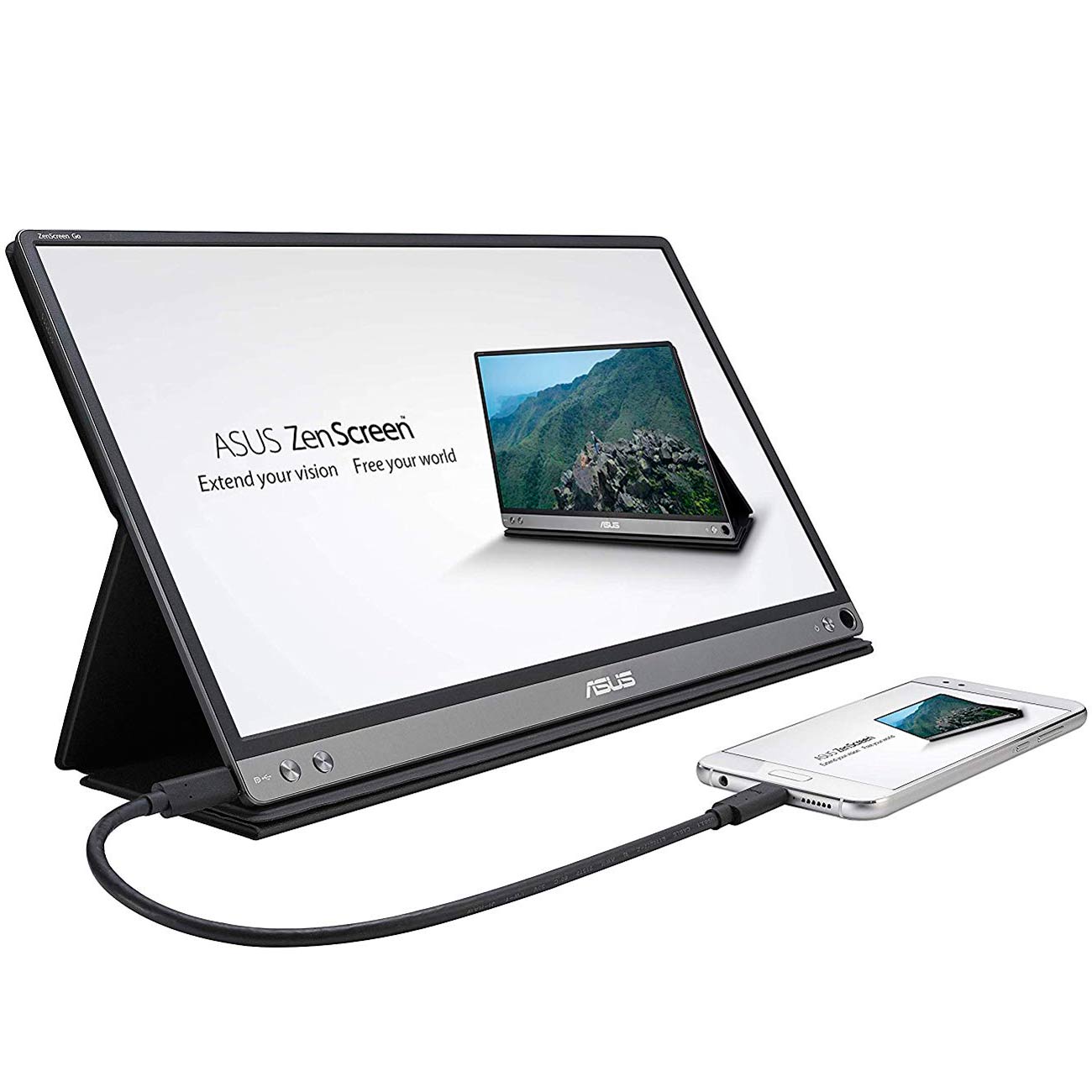 Монитор ASUS MB16AP