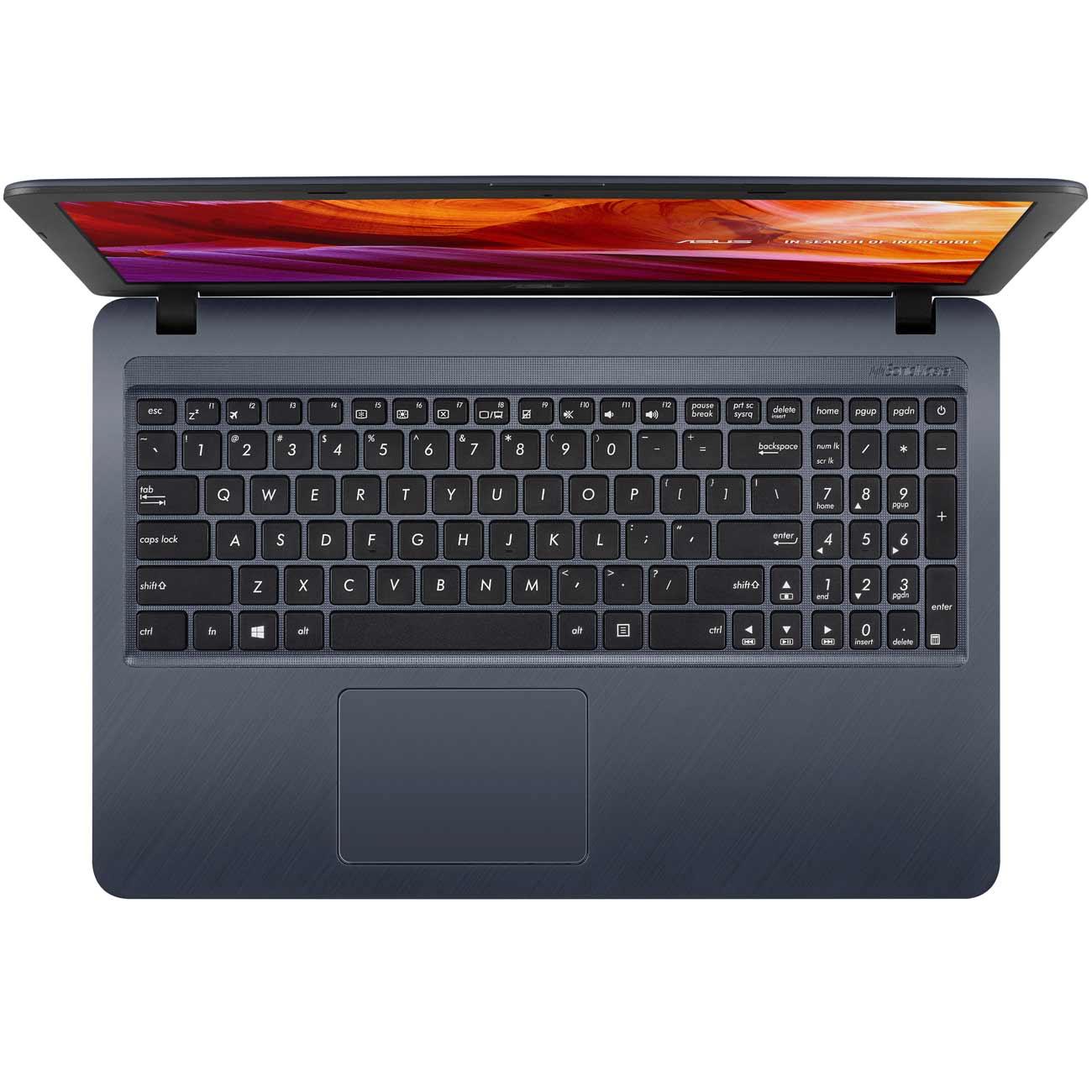 Ноутбук ASUS F543UB-GQ1446T