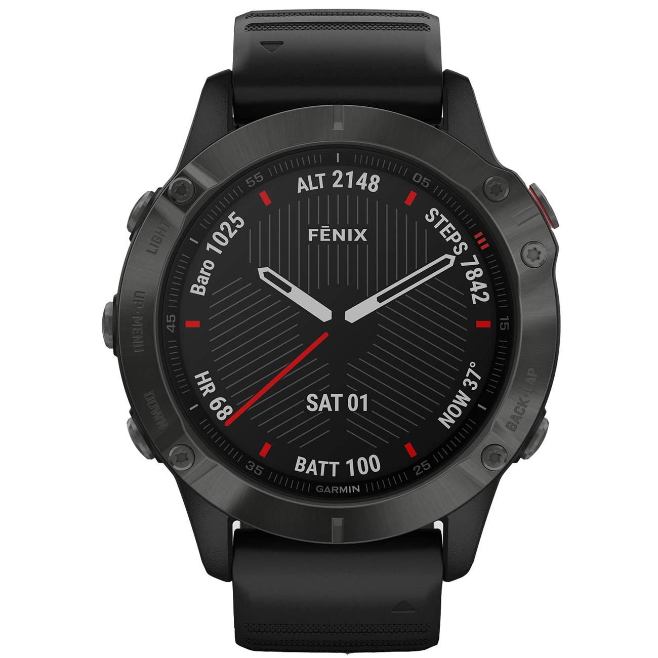 Спортивные часы Garmin Fenix 6 Pro Black/Black (010-02158-02)