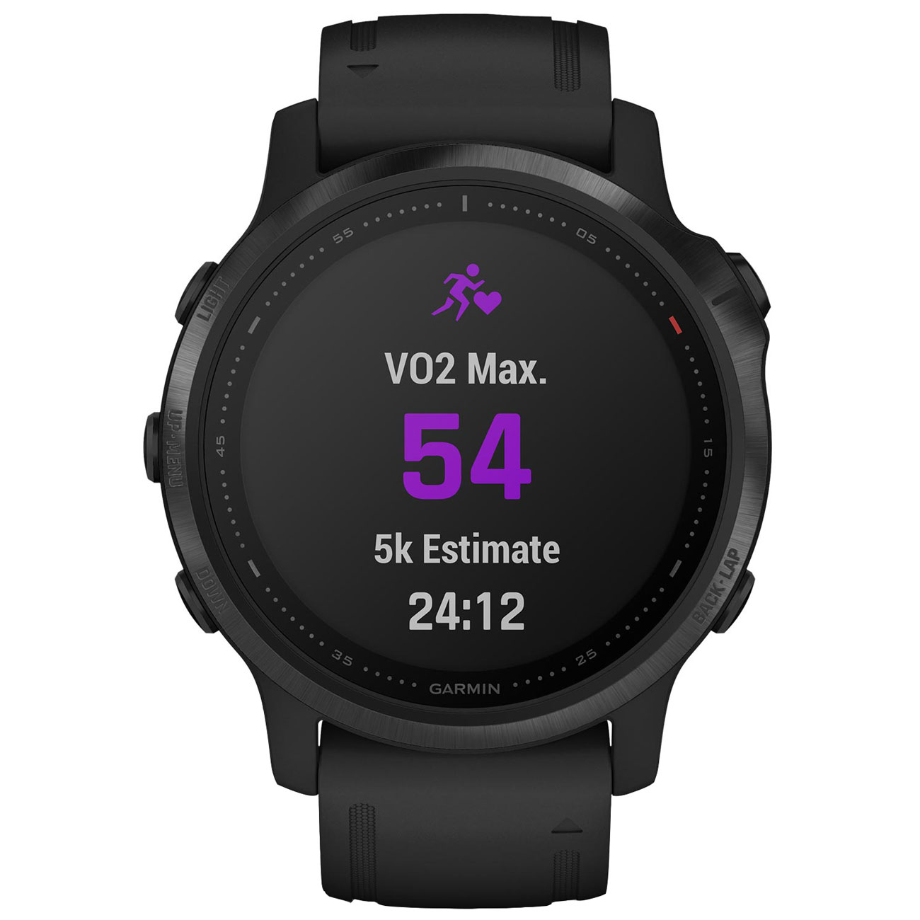 Спортивные часы Garmin Fenix 6S Pro черный/черный