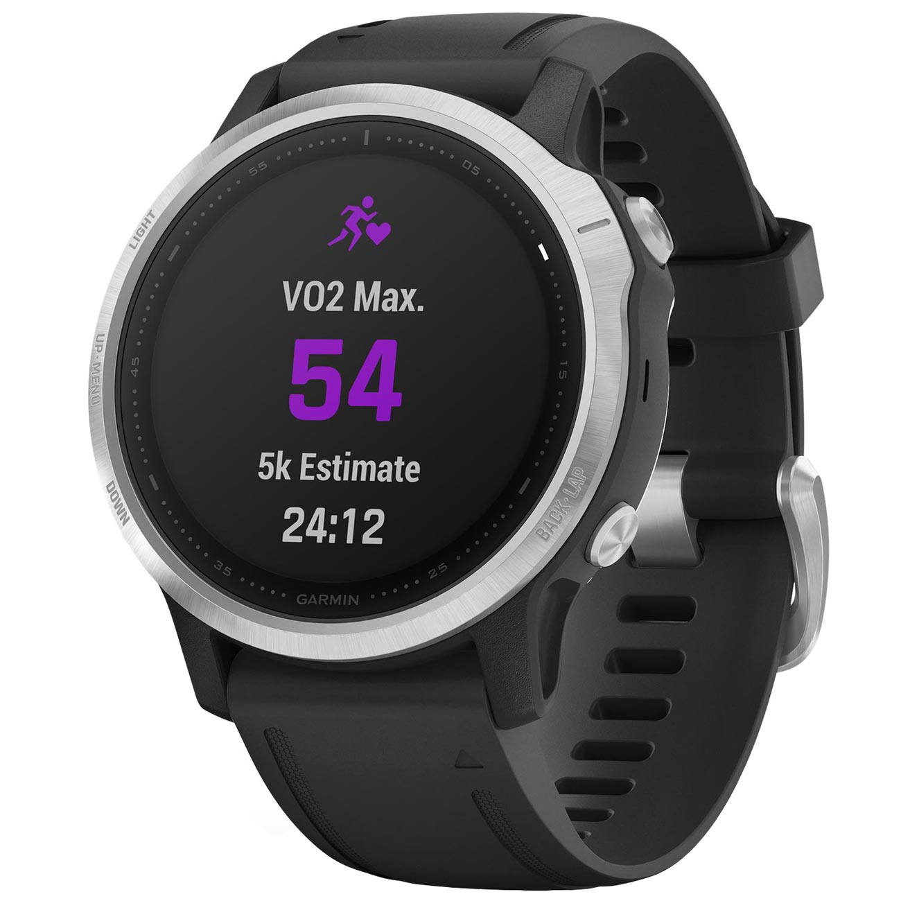 Спортивные часы Garmin Fenix 6S Silver/черный