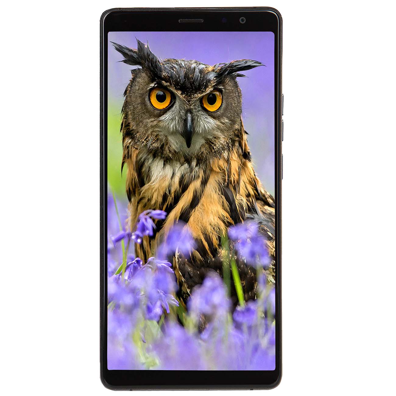 Смартфон Highscreen Power Five Max 2 3+32GB Brown фото