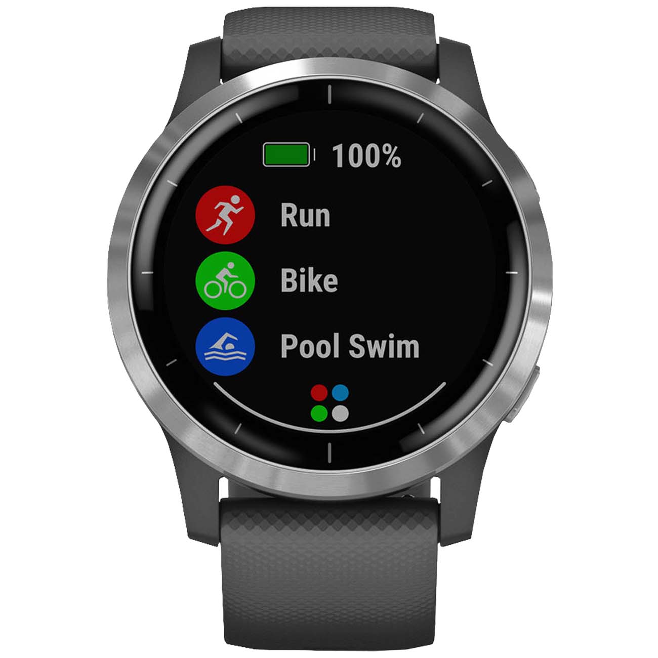 Спортивные часы Garmin Vivoactive 4 Shadow Gray/Silver (010-02174-03)