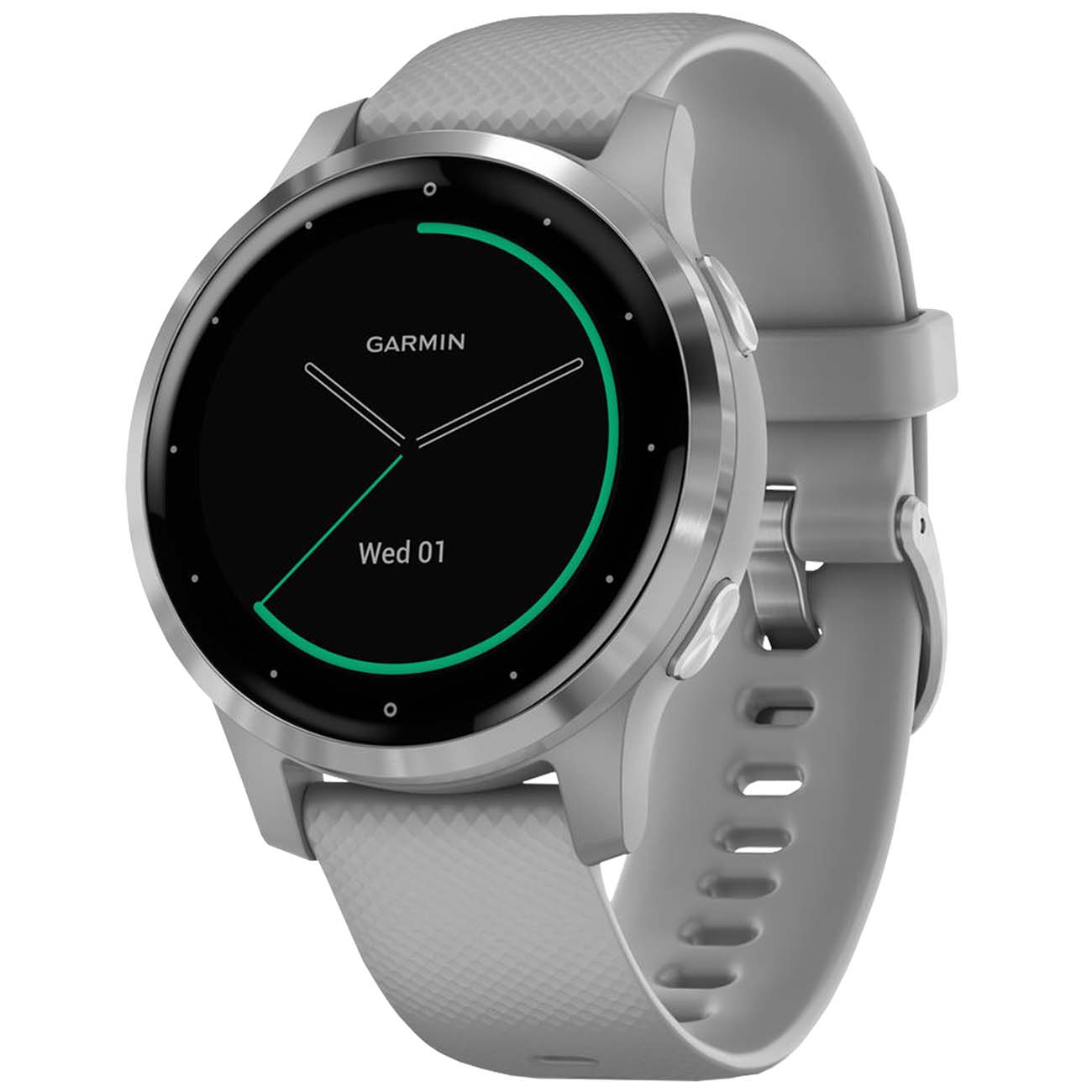 Спортивные часы Garmin Vivoactive 4S Powder Gray/Silver (010-02172-03)