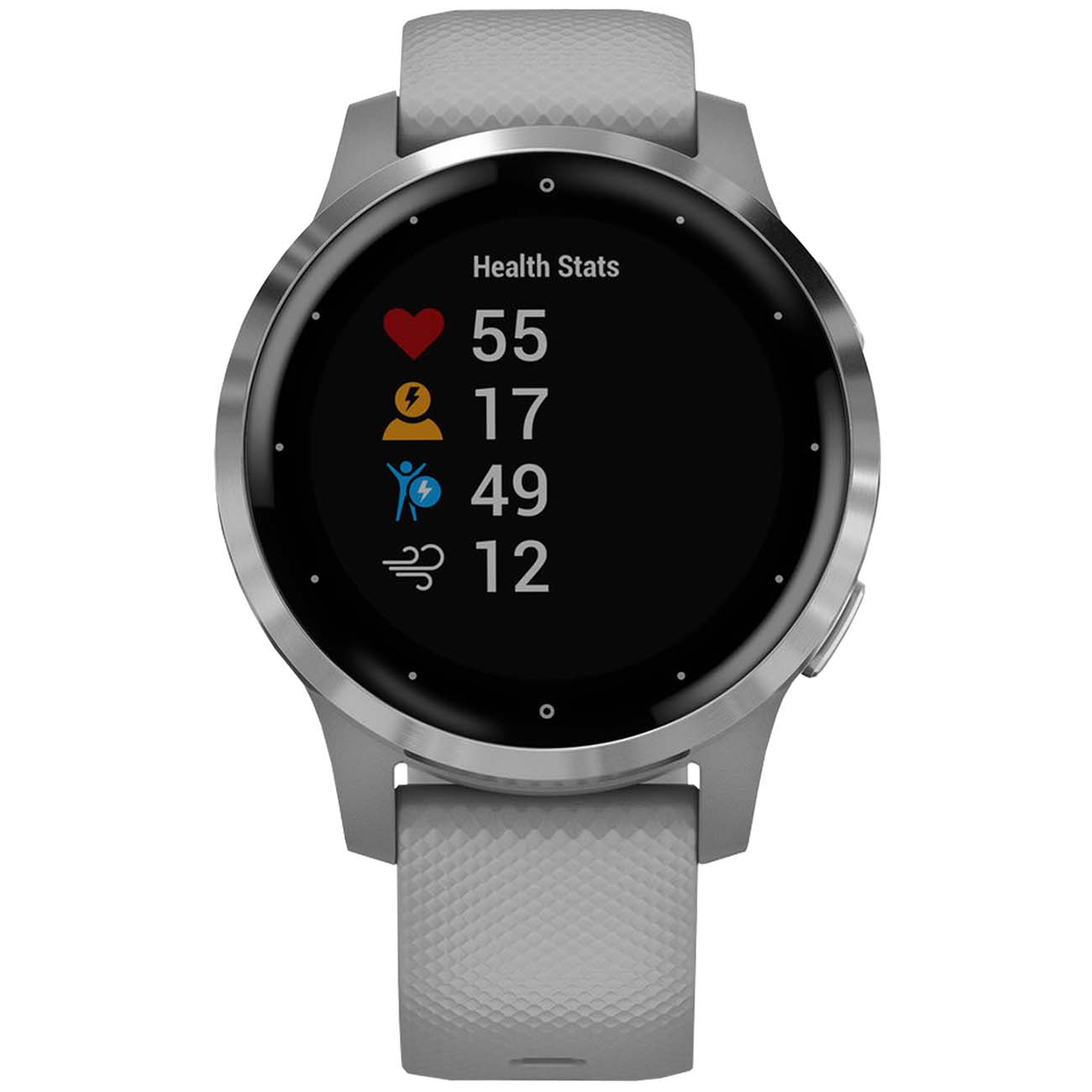 Спортивные часы Garmin Vivoactive 4S Powder Gray/Silver (010-02172-03)