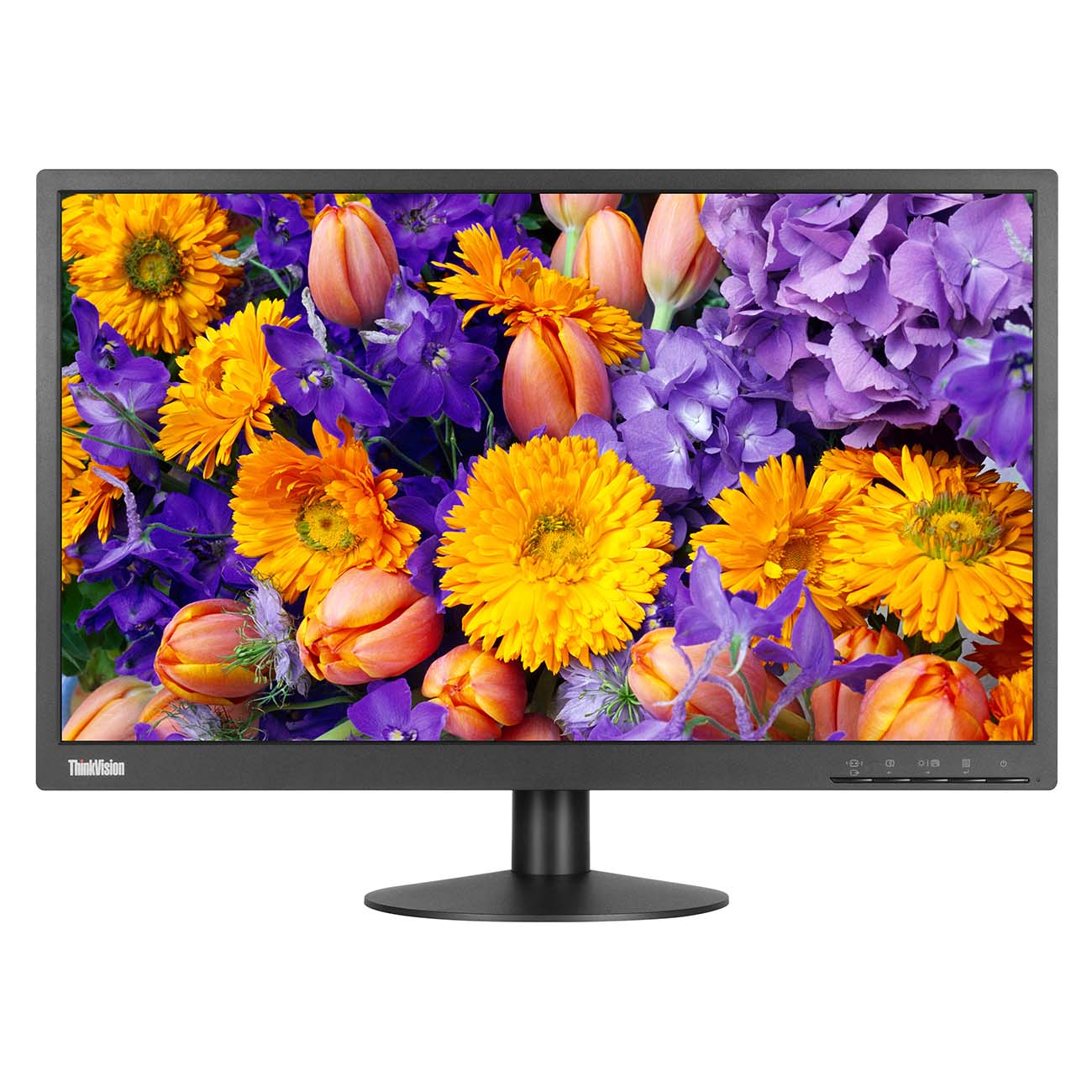 Монитор Lenovo ThinkVision E24-10 (61B7JAT6EU)