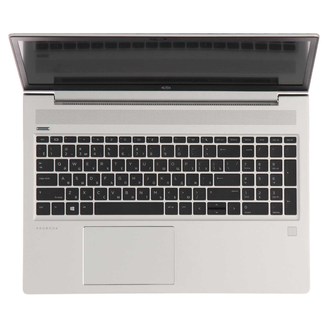 Ноутбук для бизнеса HP ProBook 455 G7 1L3U0EA