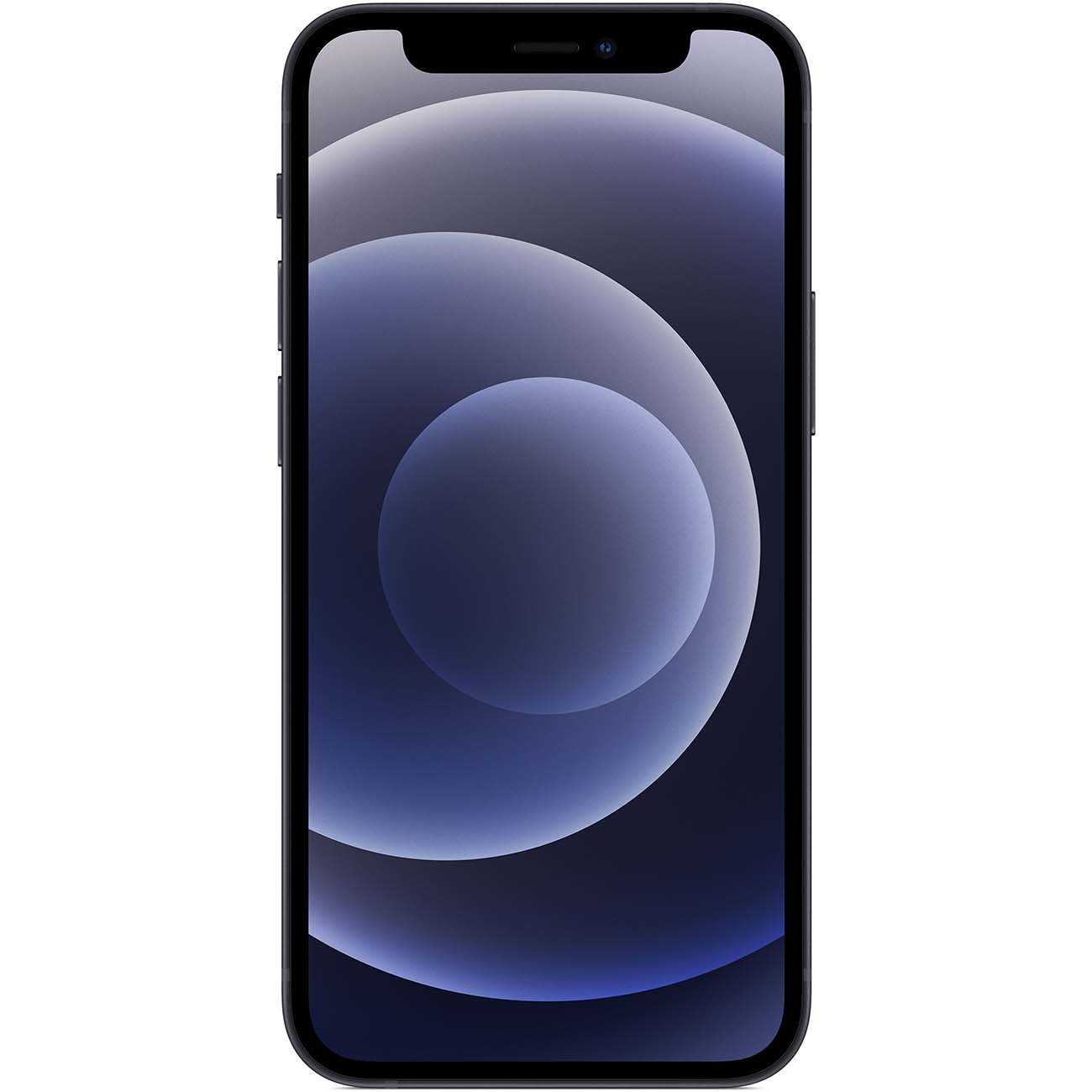 Смартфон Apple iPhone 12 mini 256GB Black (MGE93RU/A) (без RuStore)