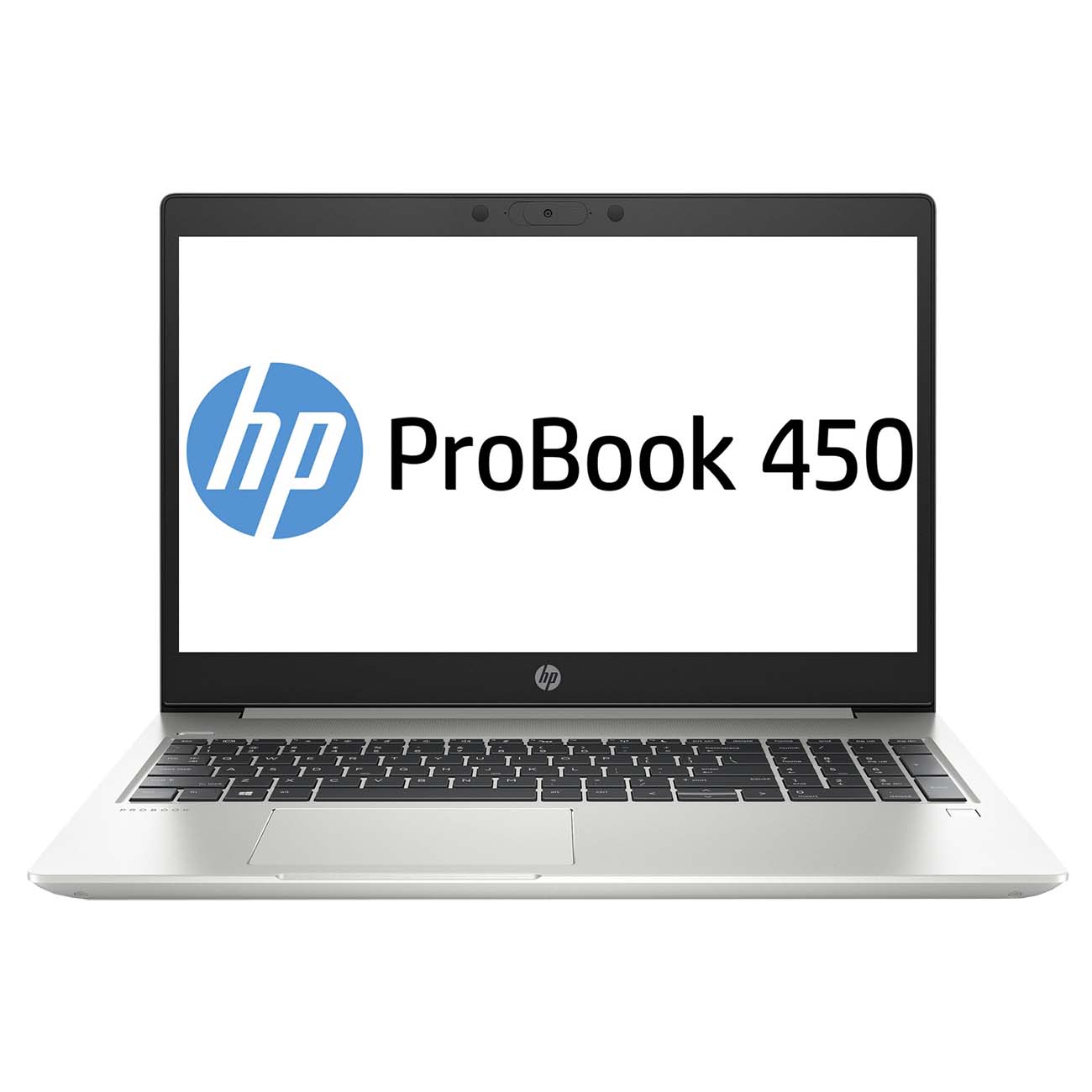 Ноутбук HP ProBook 450 G7 2D345ES