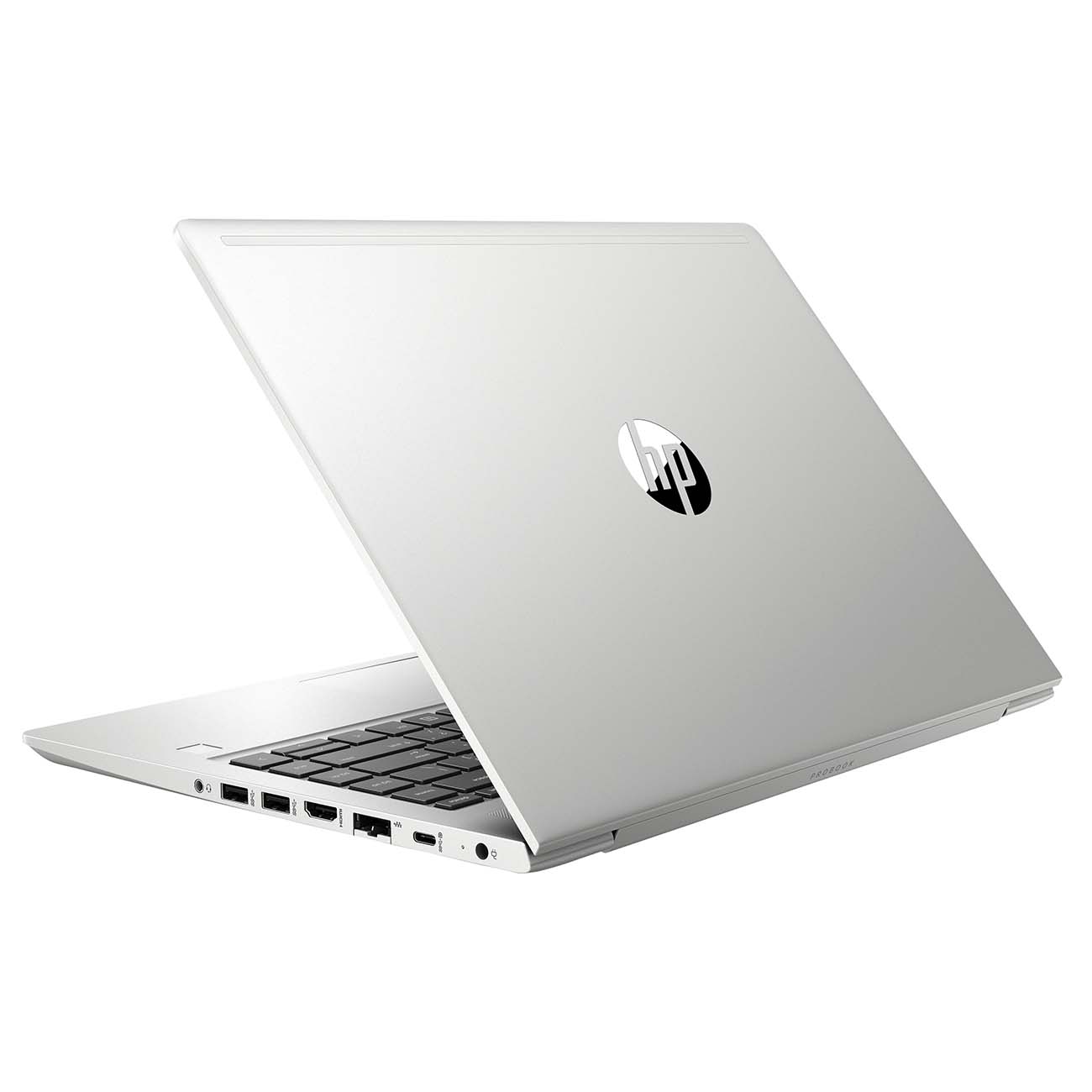 Ноутбук для бизнеса HP ProBook 445 G7 1F3L0EA