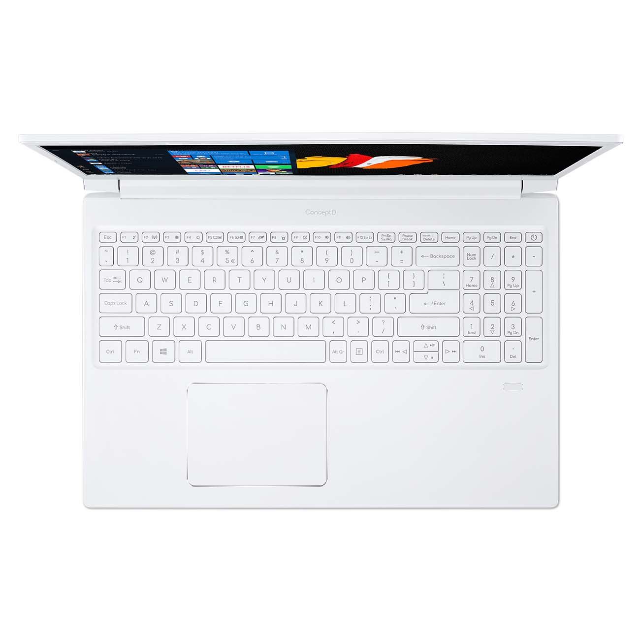 Ноутбук для дизайнеров Acer ConceptD 3 Pro CN315-71P-7832 NX.C58ER.001
