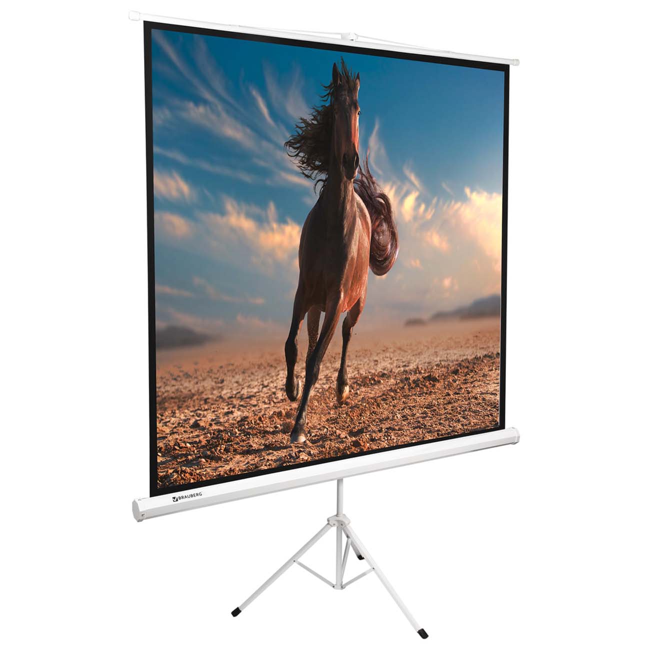 Экран для видеопроектора Brauberg на треноге 200х200см (236731)