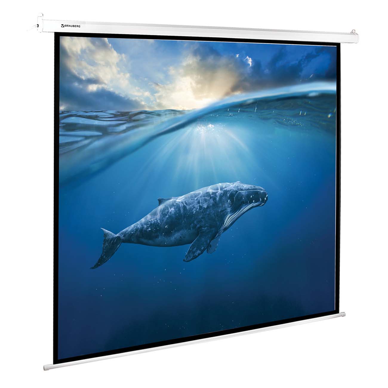 Экран для видеопроектора Brauberg настенный 180х180см (236733)