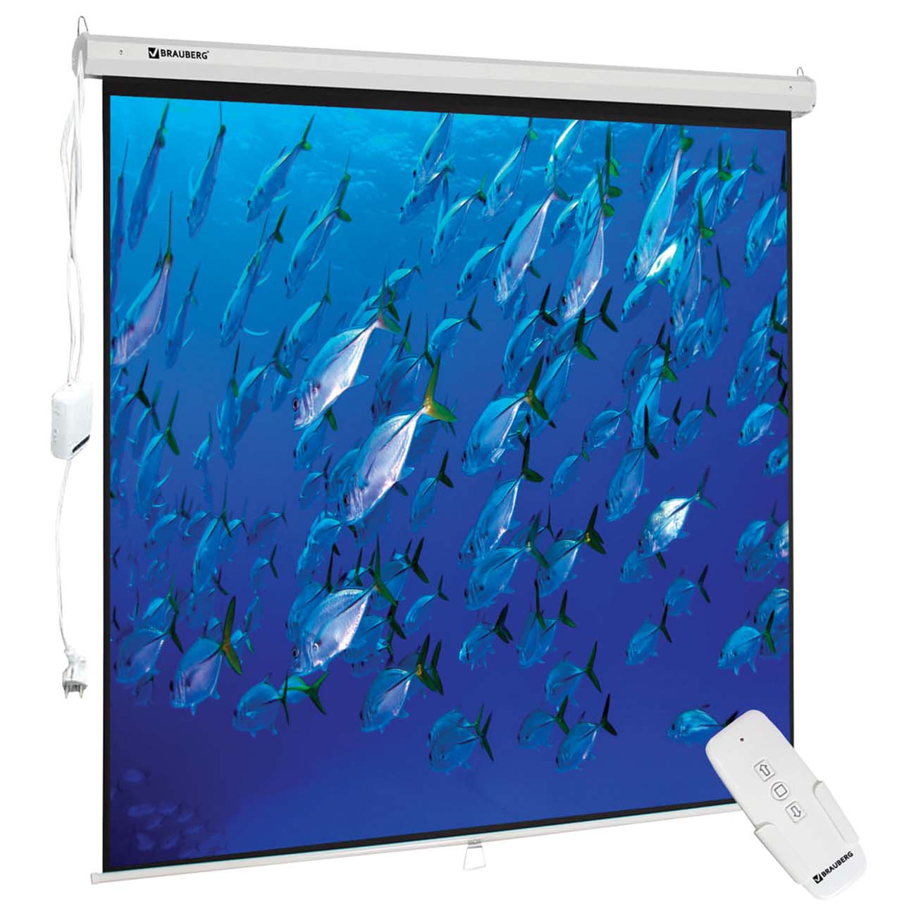 Экран для видеопроектора Brauberg настенный 180х180см (236733)