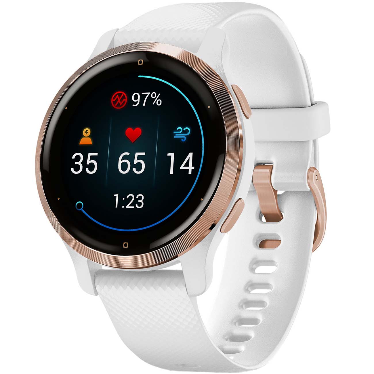 Спортивные часы Garmin Venu 2 Rose Gold/White (010-02429-13) фото