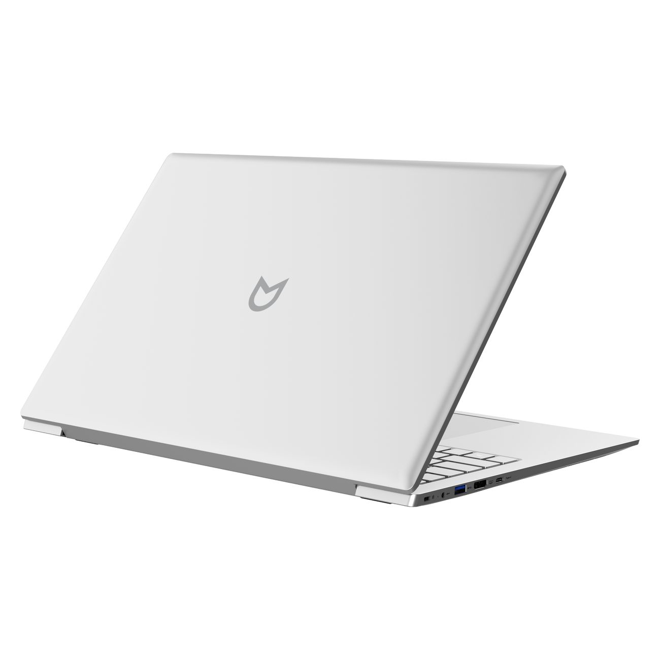 Ноутбук Irbis 17NBC2000/17.3"/AMD Ryzen 3 3200U/8/512/Win/серебристый