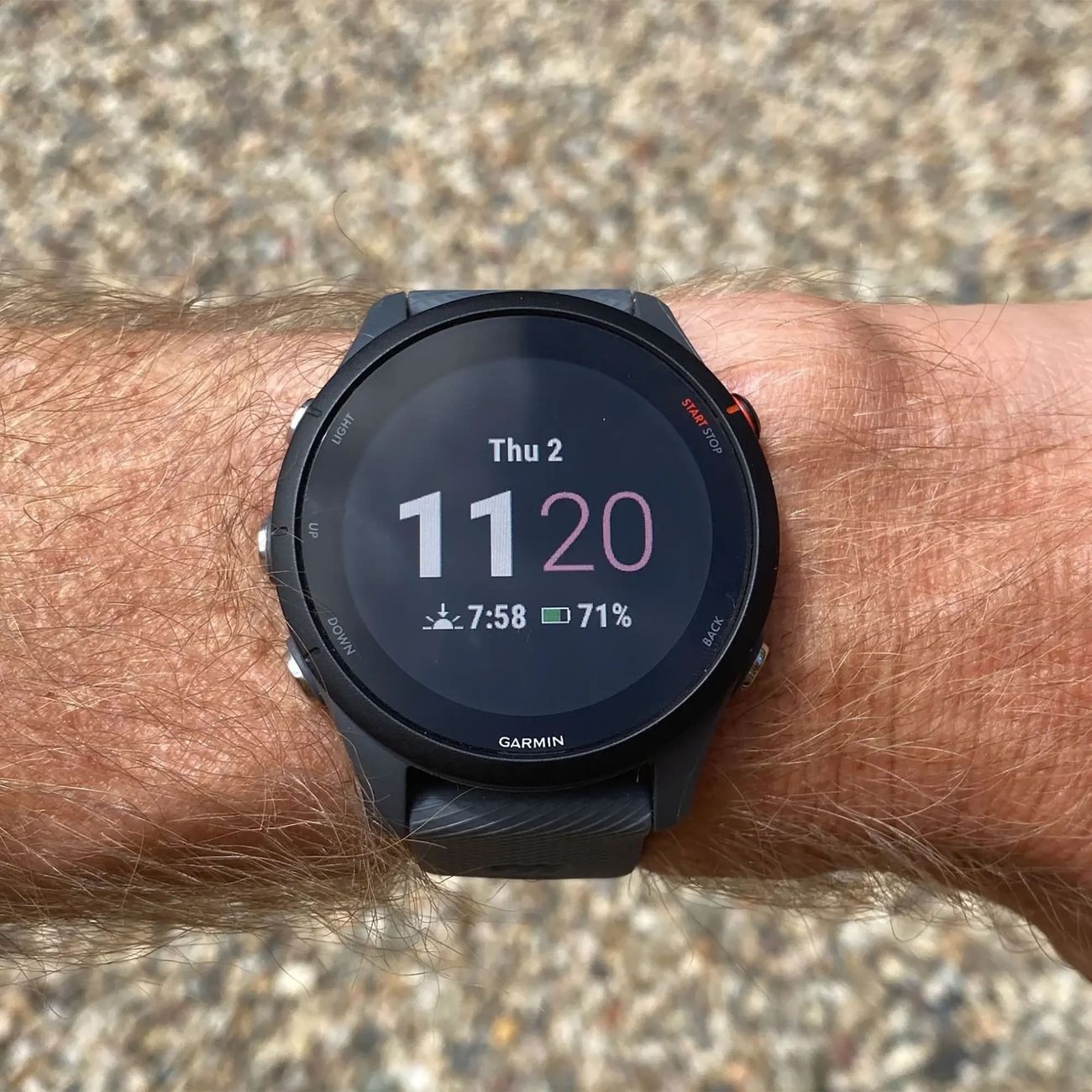 Спортивные часы Garmin Forerunner 255 45,6мм темно-серые