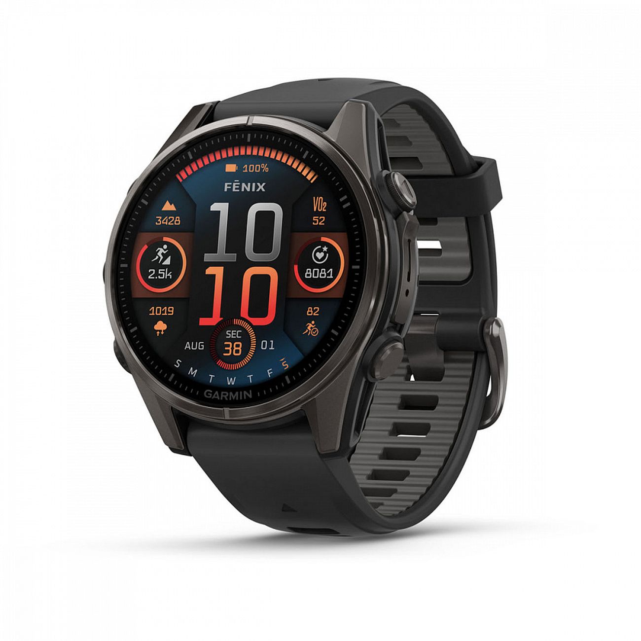 Спортивные часы Garmin Fenix 8 AMOLED Sapphire 43мм темно-серый черные