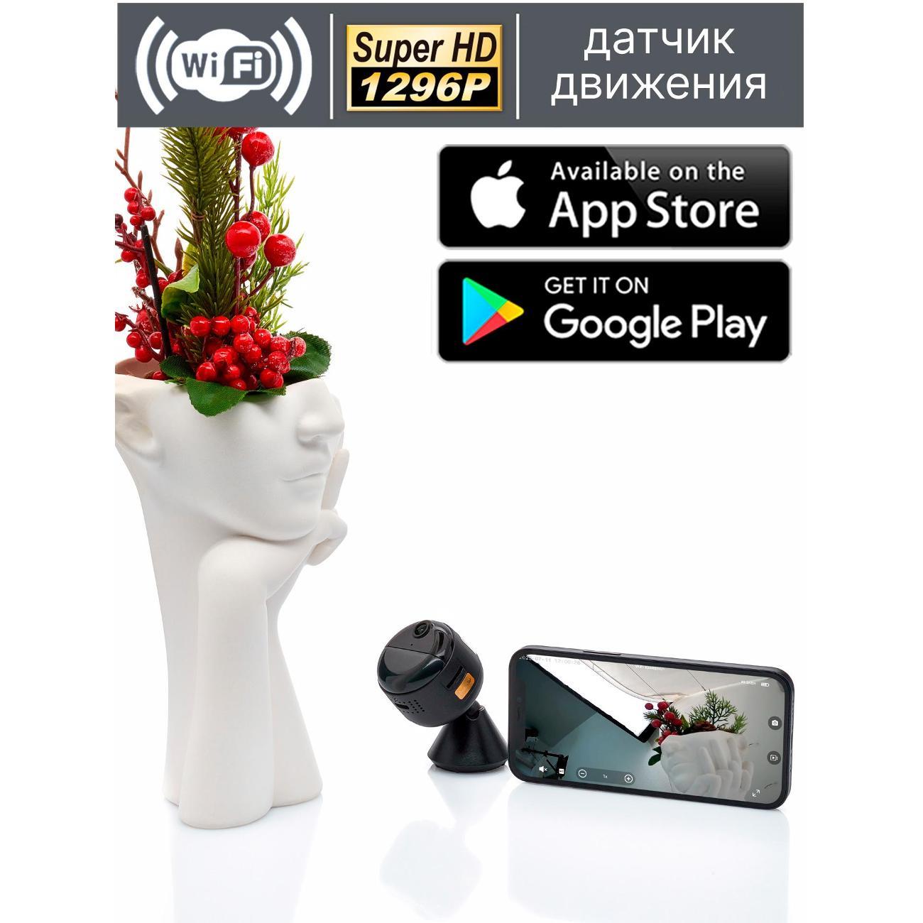 IP камера Ambertek Q85S FOWL