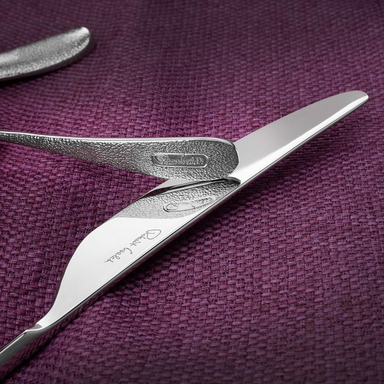 Столовый прибор Robert Welch SANBR1099V/42