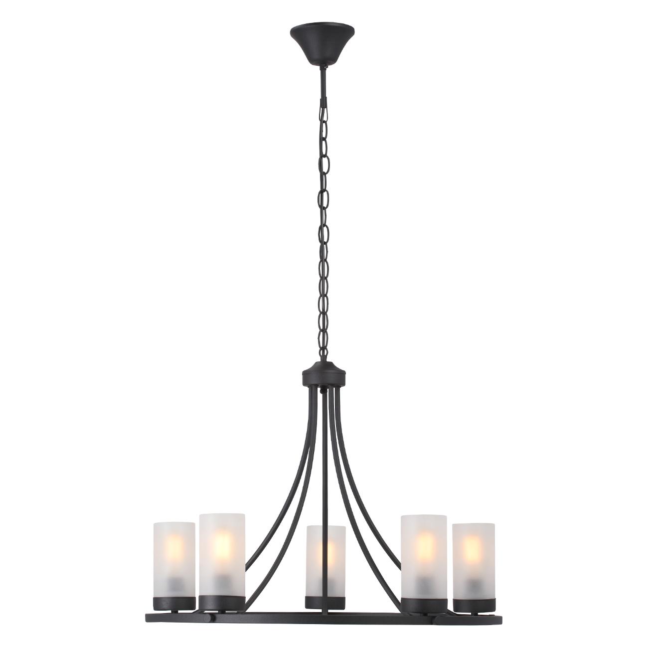 Светильник потолочный Vitaluce V1861-1/5