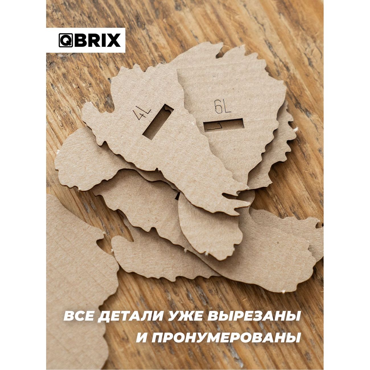 Пазл QBRIX 3D Эйнштейн