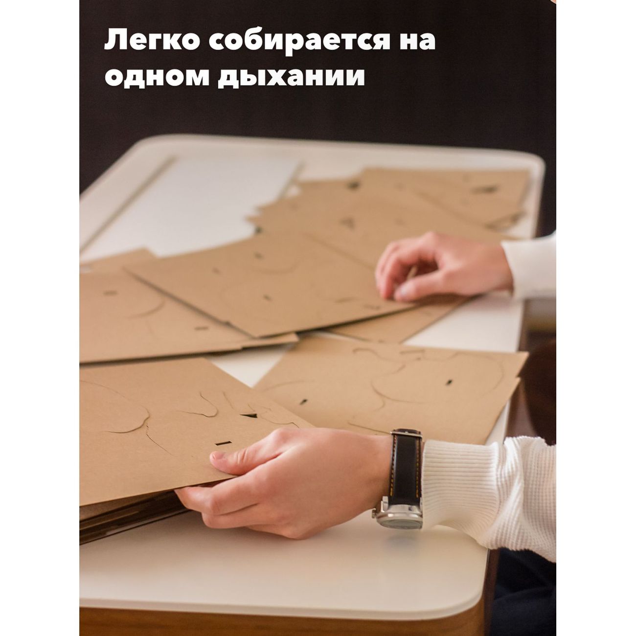 Пазл QBRIX 3D Череп органайзер