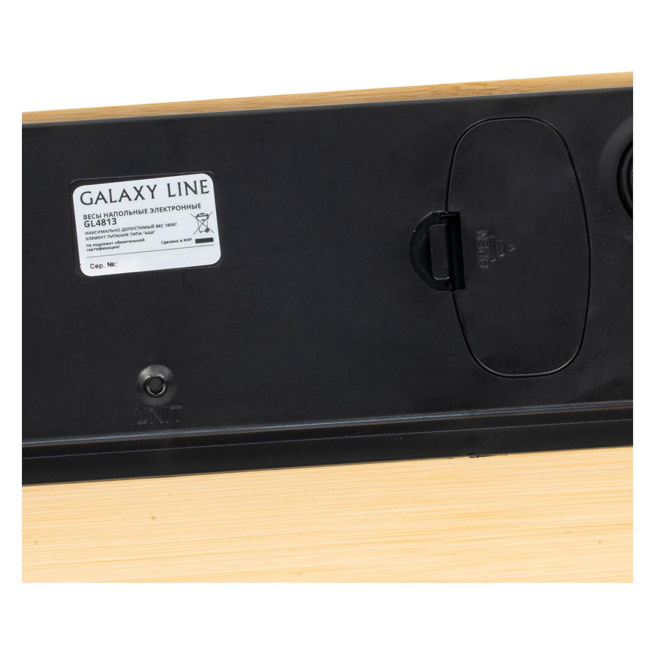 Весы напольные Galaxy LINE GL4813