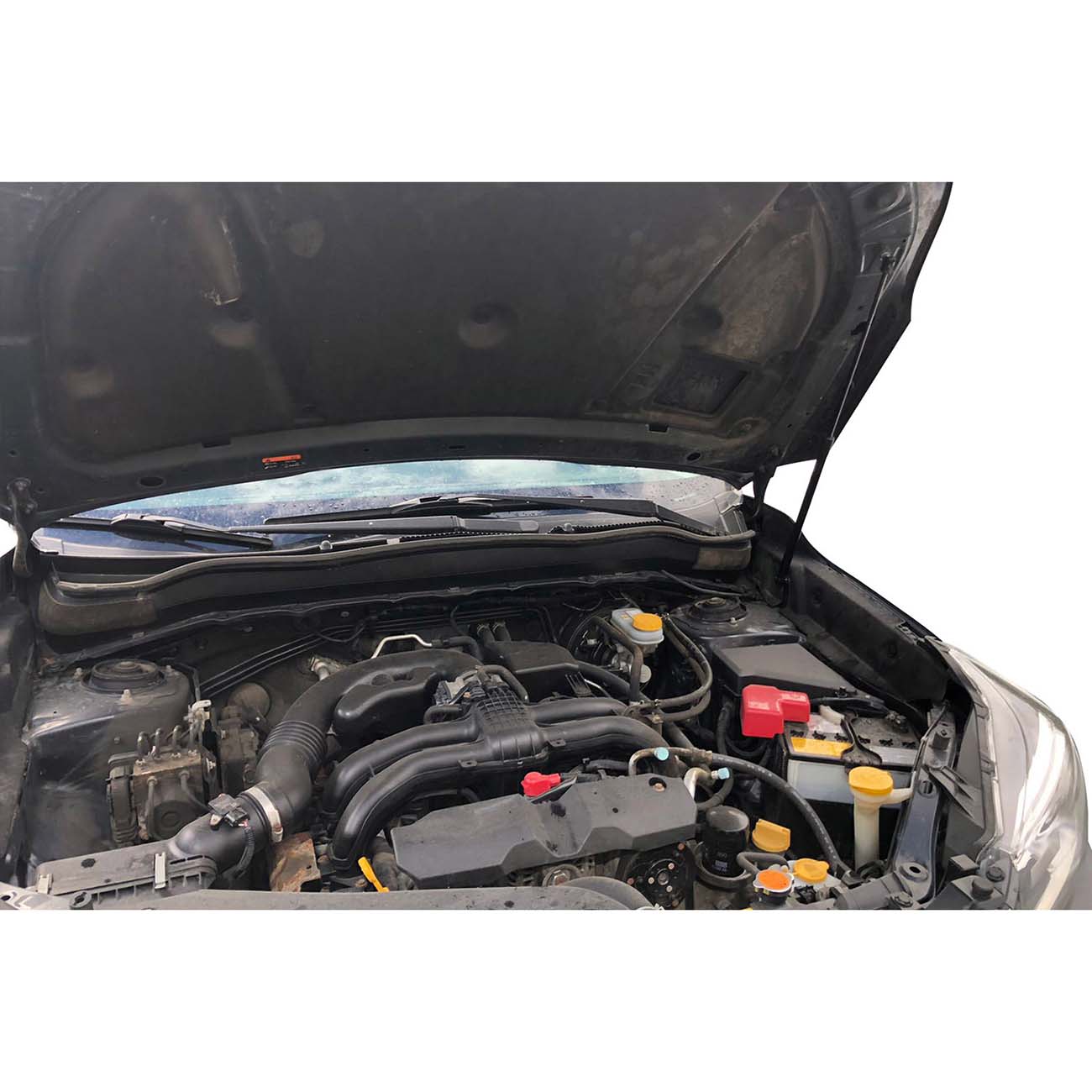 Амортизатор капота Arbori SUBARU Forester (SJ) 2013-2018 1шт(HD.039103)