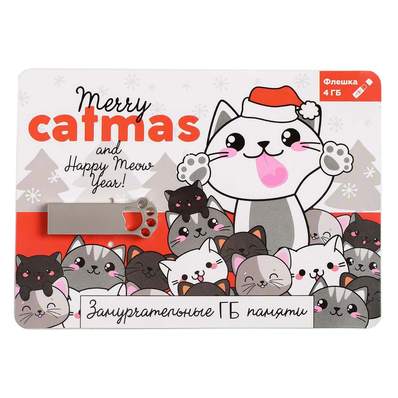Флэш диск USB Like me Marry catmas 5018774