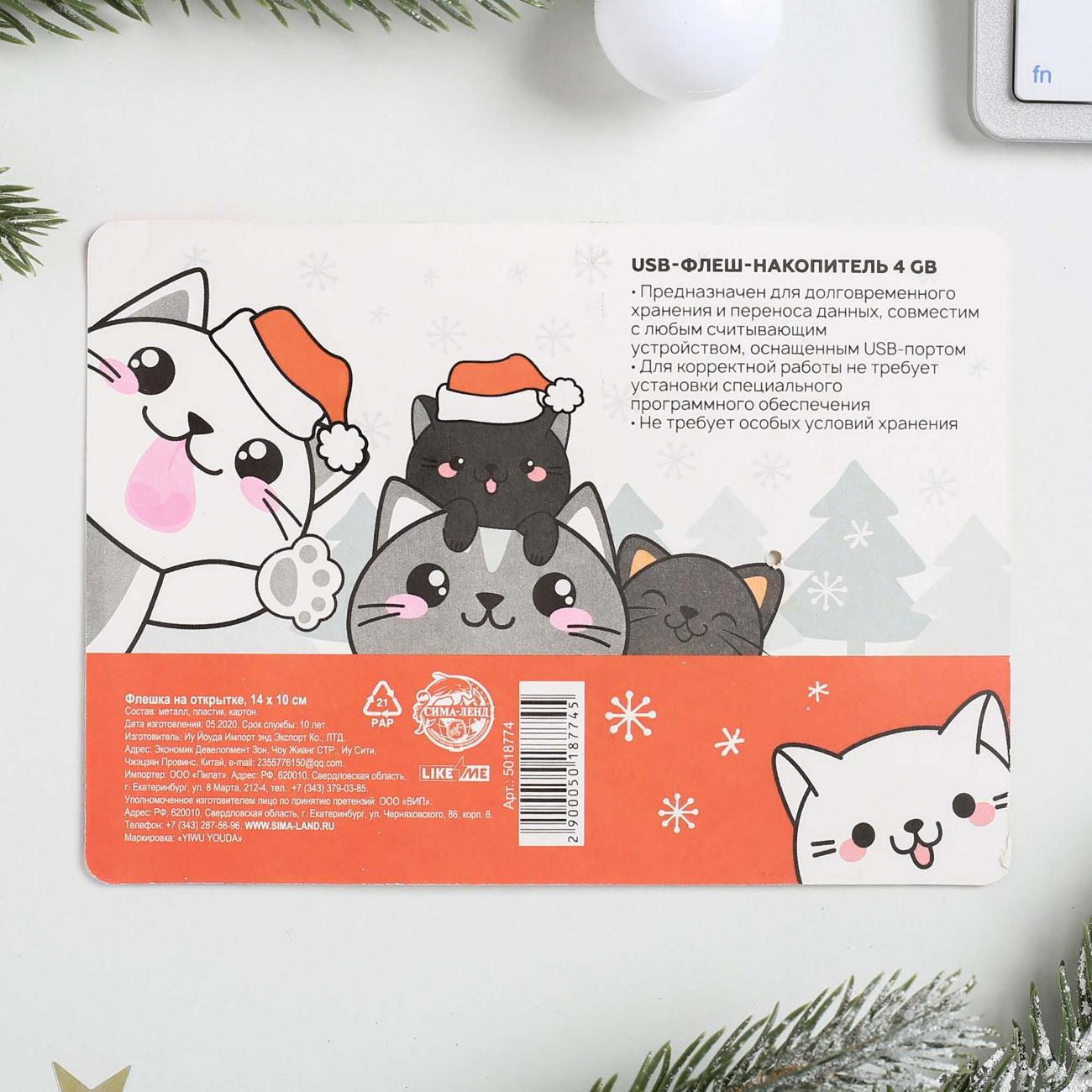 Флэш диск USB Like me Marry catmas 5018774