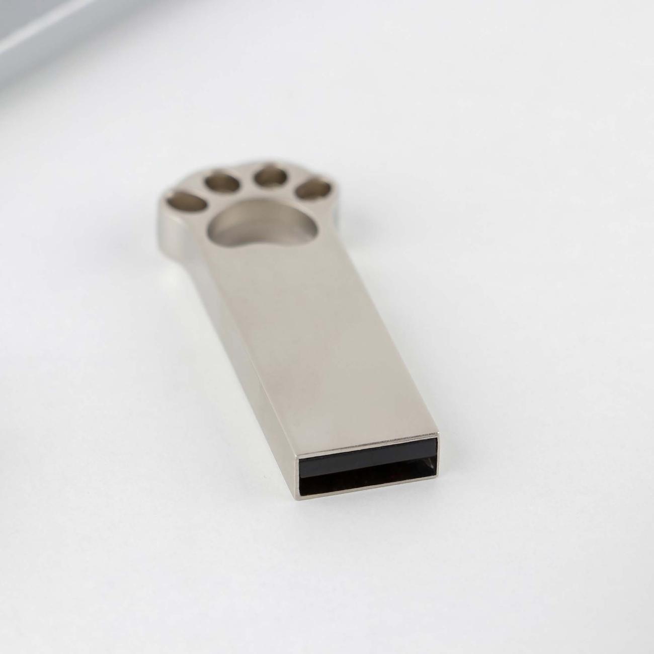 Флэш диск USB Like me Лапка 7815839